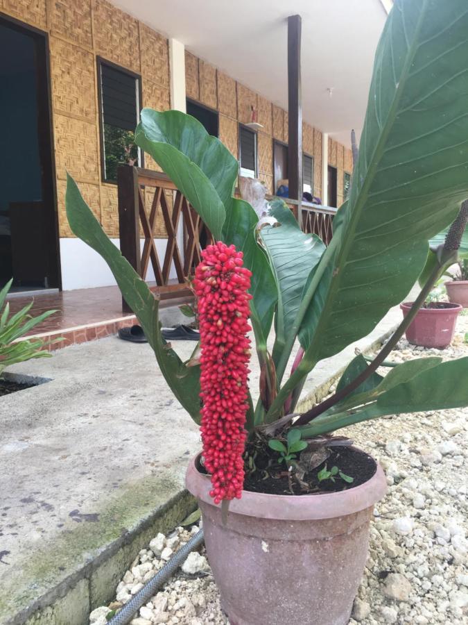 Panglao Rainbow Inn Tagbilaran-stad Buitenkant foto